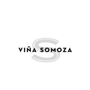 Viña Somoza